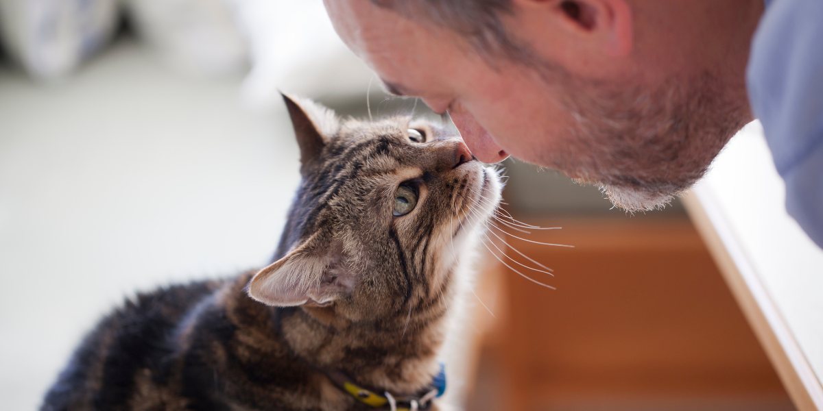 Imagen que muestra a una persona conversando con un gato.