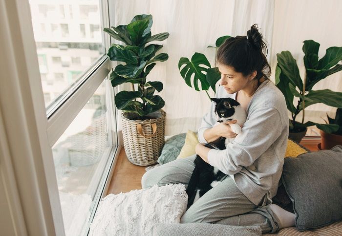 Imagen de una mujer pasando tiempo de calidad con su gato, mostrando el vínculo especial entre ellos.