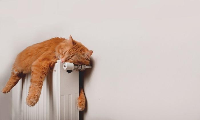 Un gato pelirrojo durmiendo pacíficamente sobre un radiador cálido, disfrutando del acogedor confort del calor.