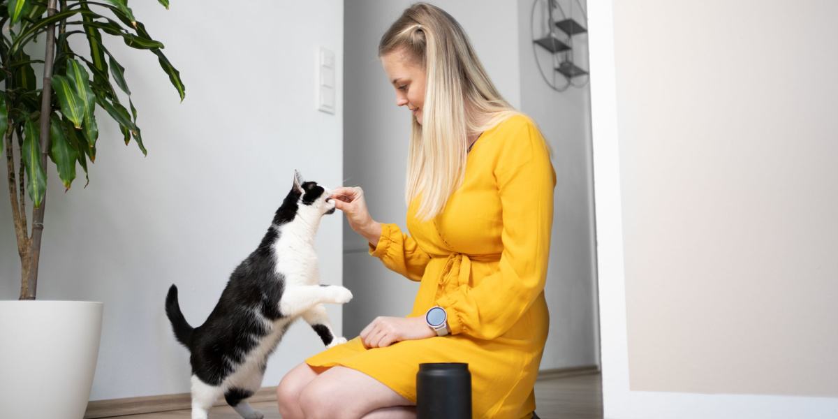 Gato siguiendo de cerca a una persona