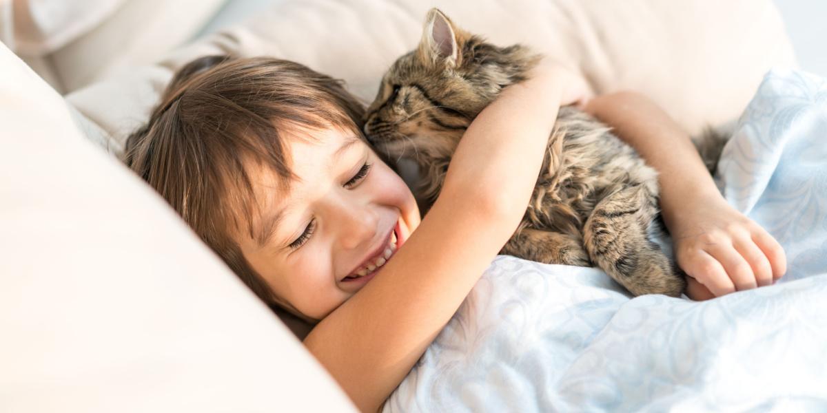 Fotografía de un gato lamiendo cariñosamente el pelo de su dueño, mostrando un momento encantador e íntimo de vínculo entre un gato y su humano.