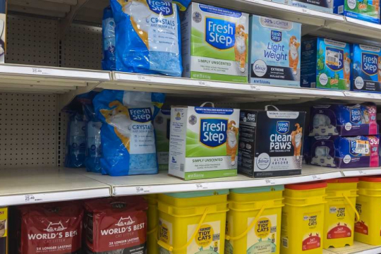 11 Alternativas económicas y ecológicas a la arena para gatos