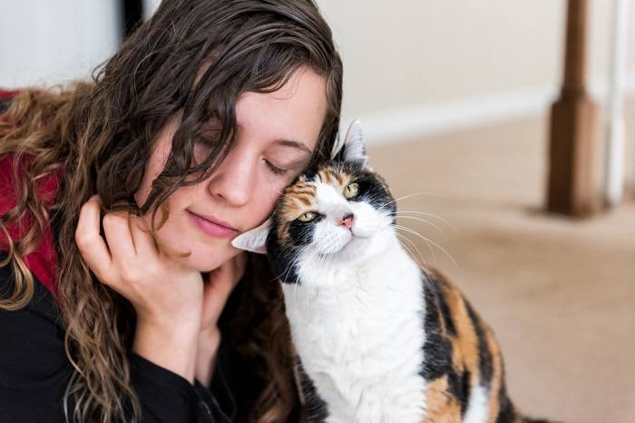 La imagen retrata un momento conmovedor en el que un gato se frota contra la cara de una mujer.