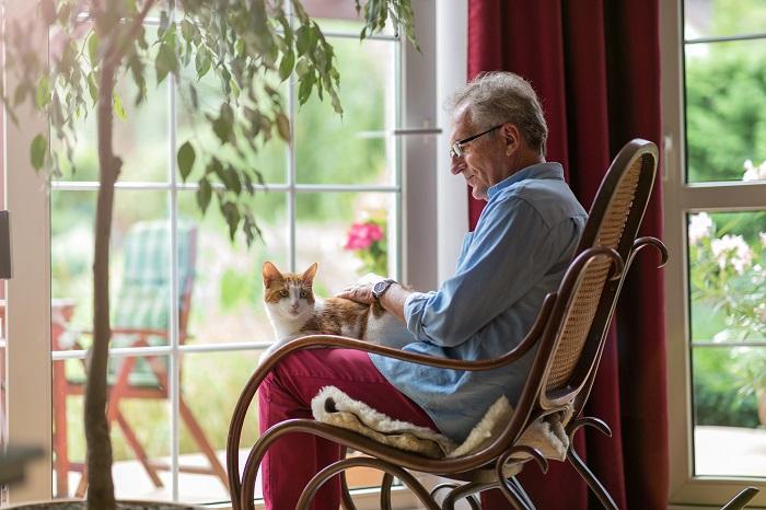 Un gato anciano descansando en el regazo de una persona, compartiendo un momento tierno que ejemplifica la compañía relajante entre los gatos y sus cuidadores humanos.