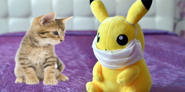 150 lindos nombres de Pokémon para gatos con significados