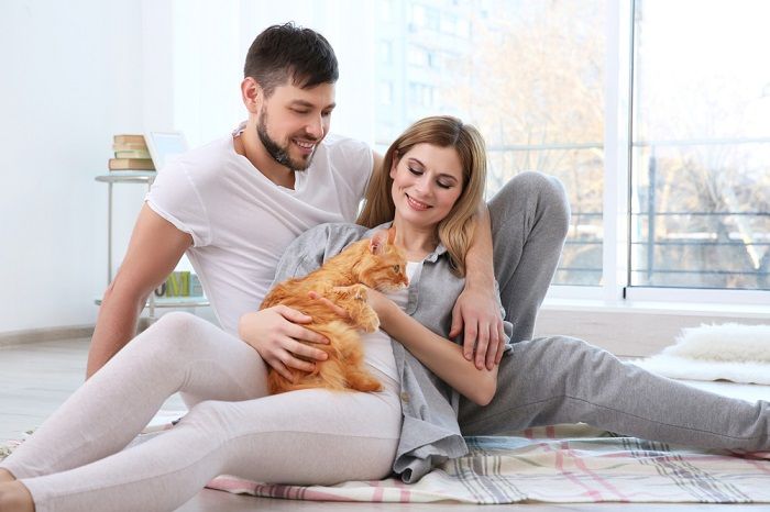 Imagen que muestra una conexión conmovedora entre un gato y una pareja, que simboliza el afecto compartido, la comodidad y la alegría que las mascotas pueden aportar a una relación.