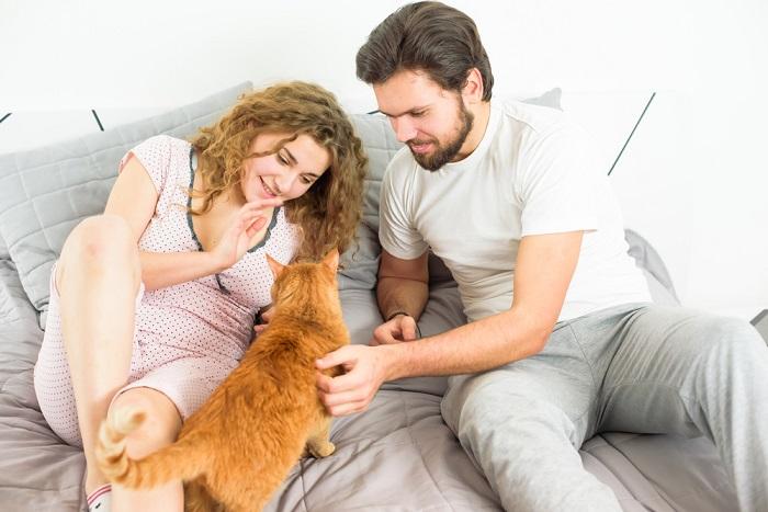 Una imagen que captura un momento conmovedor entre un gato y una pareja, mostrando el fuerte vínculo y el afecto que comparten entre ellos mientras interactúan y disfrutan de la compañía del otro.