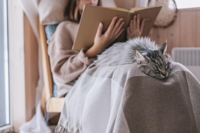 Una imagen que representa un momento conmovedor entre un gato y un humano.