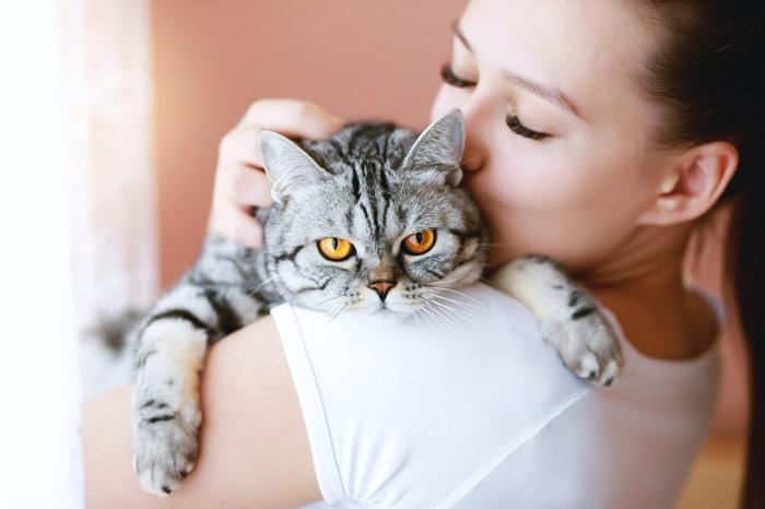 Un momento conmovedor entre un gato y un humano, que muestra su vínculo y conexión especiales.