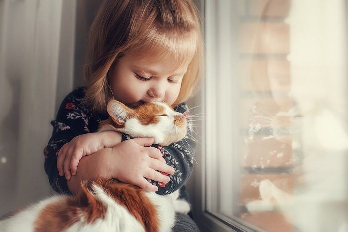 Un niño interactuando con un gato amigable, fomentando un vínculo alegre y lúdico entre un niño pequeño y un compañero felino.