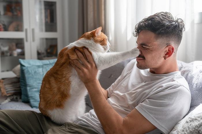 Imagen de un gato interactuando con un hombre, retratando una interacción encantadora que demuestra el compañerismo mutuo y el disfrute que comparten.