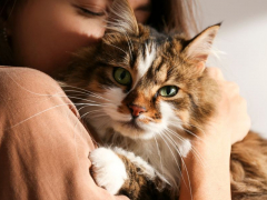 A woman enjoying quality time with her cat, providing affection and companionship to her feline friend.