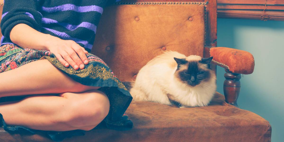 Una imagen que representa a una mujer interactuando con un gato.