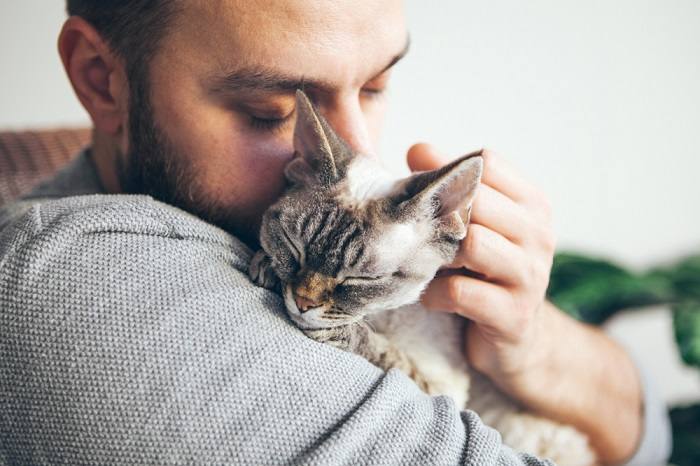 Un gato angustiado y con dolor, lo que resalta la necesidad de cuidados compasivos y atención médica para los compañeros felinos que experimentan malestar o angustia.