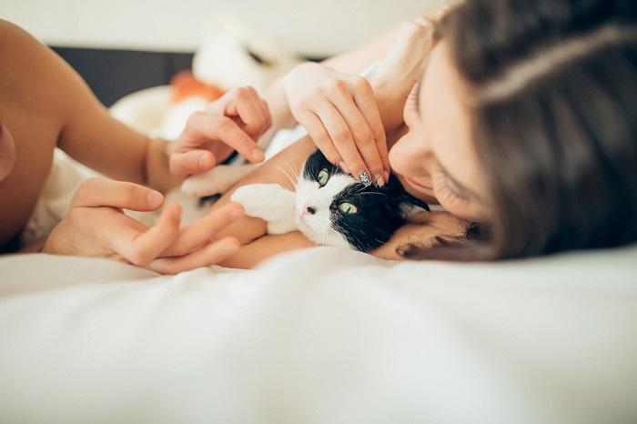 Pareja creando vínculos con su gato.