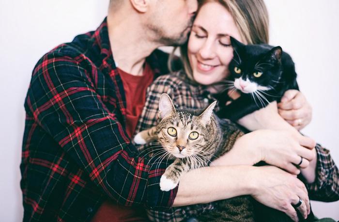 Imagen que captura a una pareja feliz rodeada de sus gatos, ejemplificando el amor compartido y la satisfacción que múltiples compañeros felinos pueden aportar a un hogar.