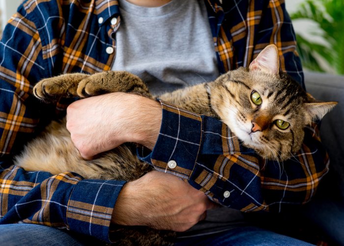 Fotografía de un hombre sosteniendo suavemente a su gato en sus brazos, ambos parecen estar tranquilos y forman una conexión cercana en un entorno cómodo.