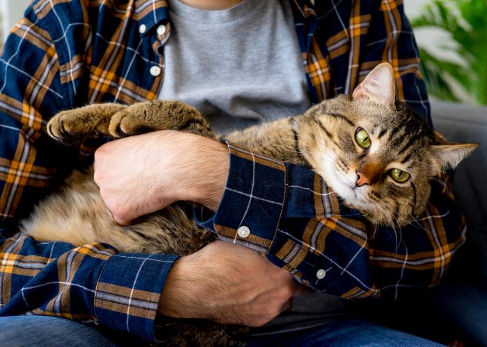 Una imagen que retrata a un hombre sosteniendo suavemente un gato en sus brazos.