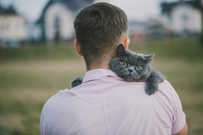 Imagen que muestra a un hombre sosteniendo a su gato en un cálido abrazo, ambos irradiando una sensación de comodidad y compañerismo en un entorno hogareño.