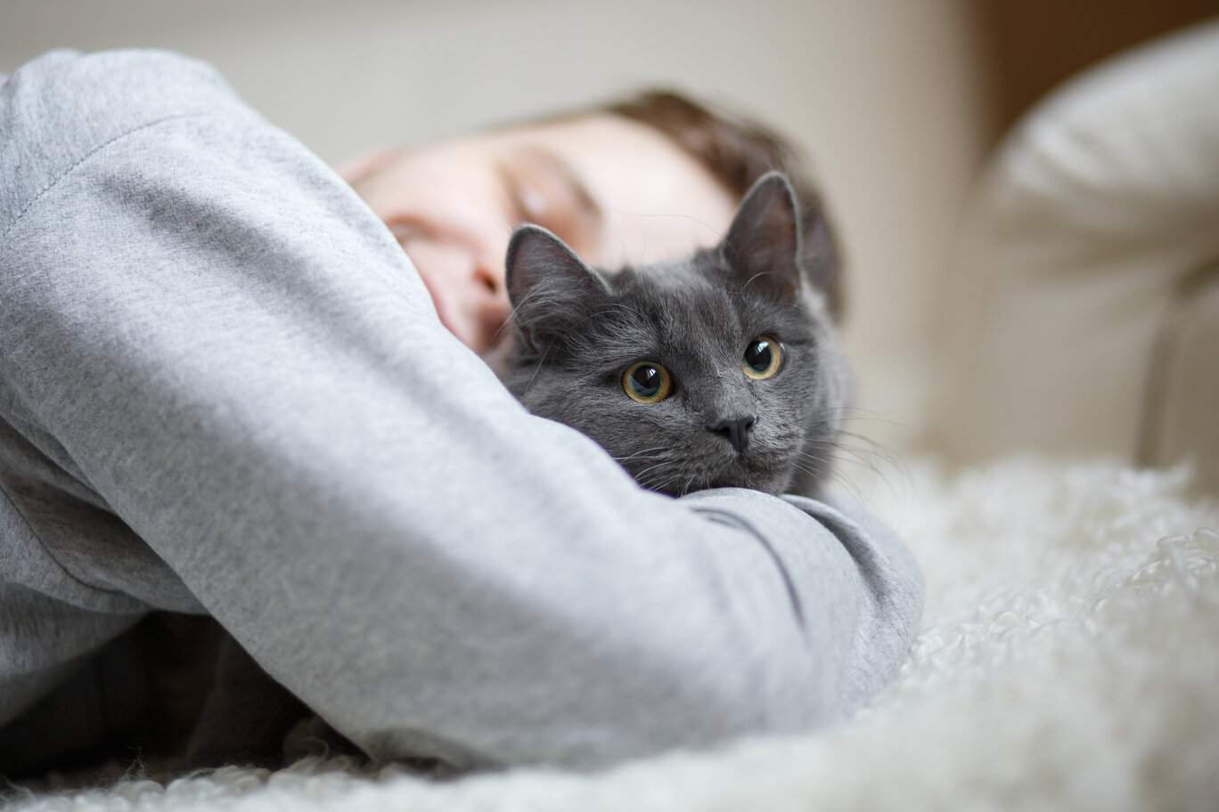 Un momento conmovedor se desarrolla cuando un hombre abraza amorosamente a su gato mientras ambos descansan en una cama.