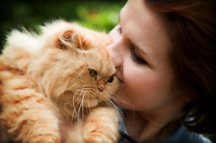 Comer cabello humano puede ser un signo de estrés en los gatos.