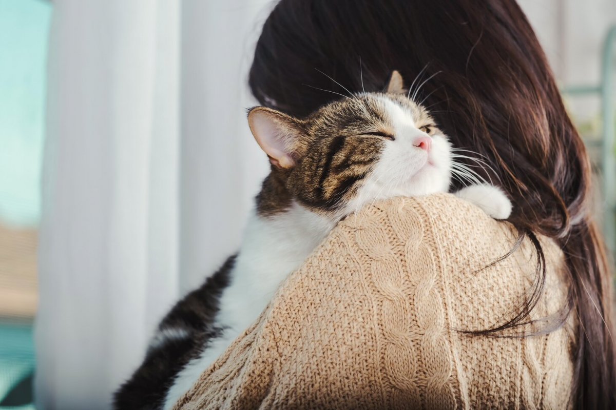 ¿Los gatos son posesivos?