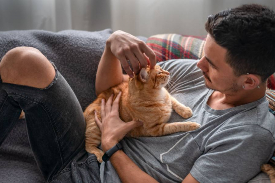 12 Señales de un gato extremadamente feliz