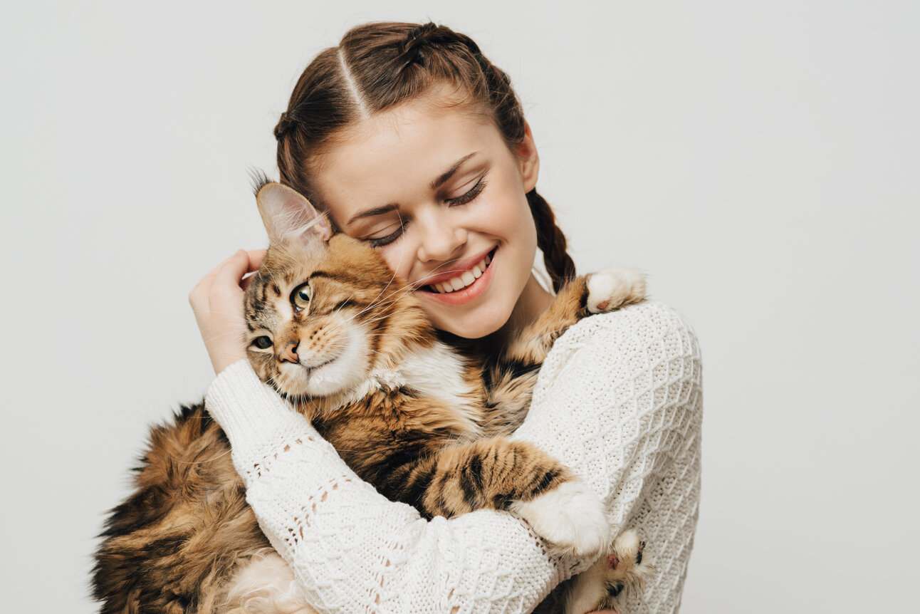 Imagen que muestra a un gato paciente siendo abrazado amorosamente por su dueño, resaltando un tierno momento de conexión y afecto entre humanos y animales.