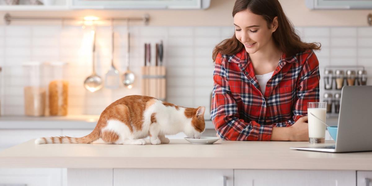 La imagen retrata a un gato y una mujer interactuando a la hora de comer, ilustrando el compañerismo y el vínculo entre los humanos y sus compañeros felinos.