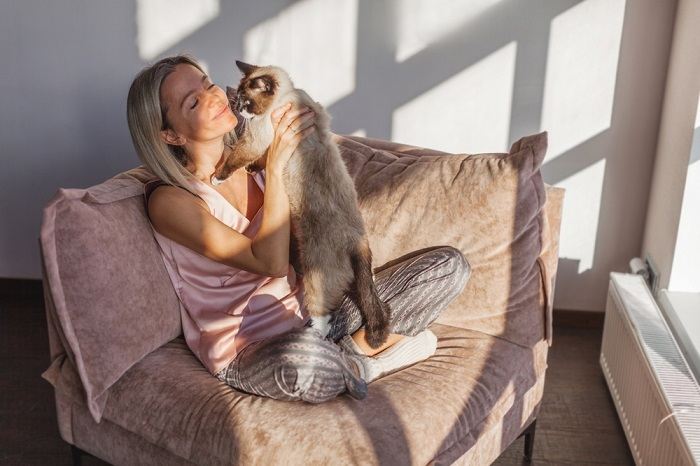 Gato lamiendo tiernamente la mano de su dueño, representando un gesto de cercanía y entrañable compañía.