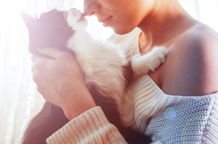 Imagen de un gato lamiendo la mejilla de una mujer, mostrando un gesto de afecto y compañerismo felino.