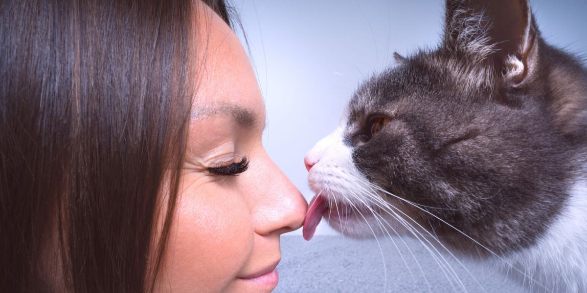 Gato lamiendo cariñosamente la nariz de una mujer, demostrando un vínculo tierno y un comportamiento de acicalamiento.