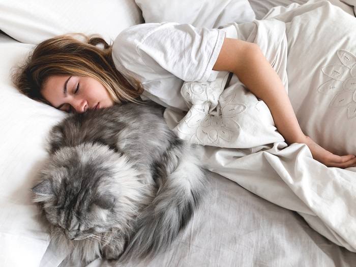 La imagen captura a una mujer y su compañero felino compartiendo un momento acogedor en una almohada, resaltando su vínculo y comodidad juntos.