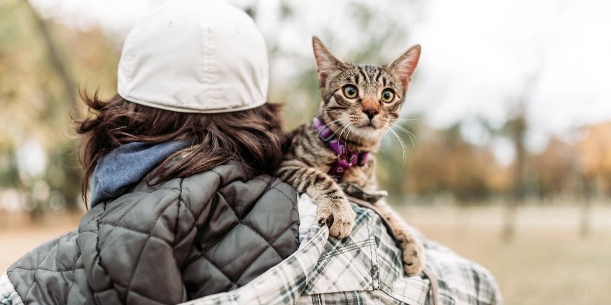 Imagen de un hombre que lleva en sus brazos un gato de aspecto tranquilo y contento, mientras ambos caminan juntos frente a un paisaje de fondo.