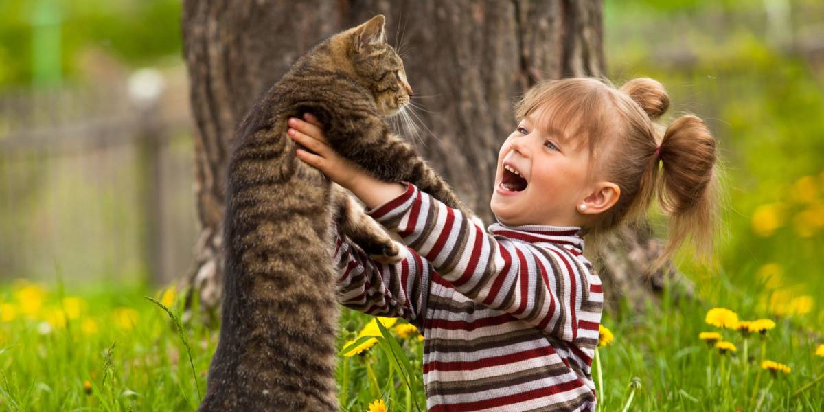 Niña jugando con un gato.