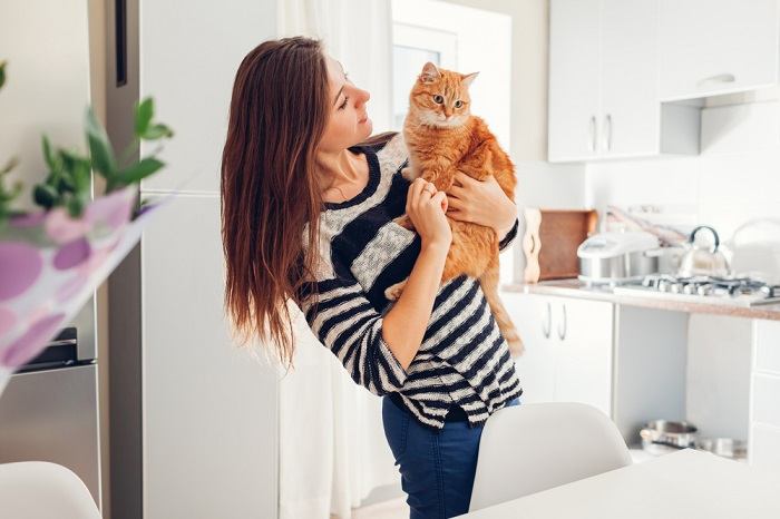 Método para disciplinar a un gato