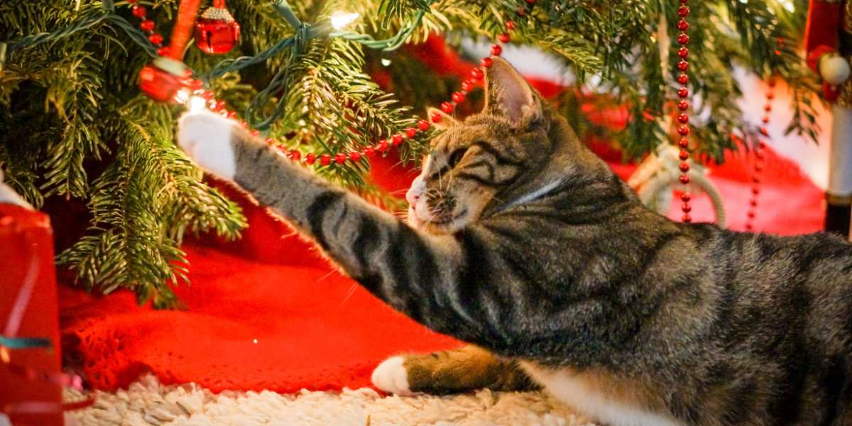 Gato atigrado golpeando una campana que cuelga debajo del árbol de Navidad