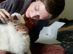 The woman is helping to brush her cat.