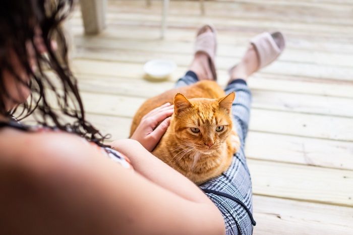 Mujer joven sentada en el suelo, sosteniendo un gato en sus brazos.