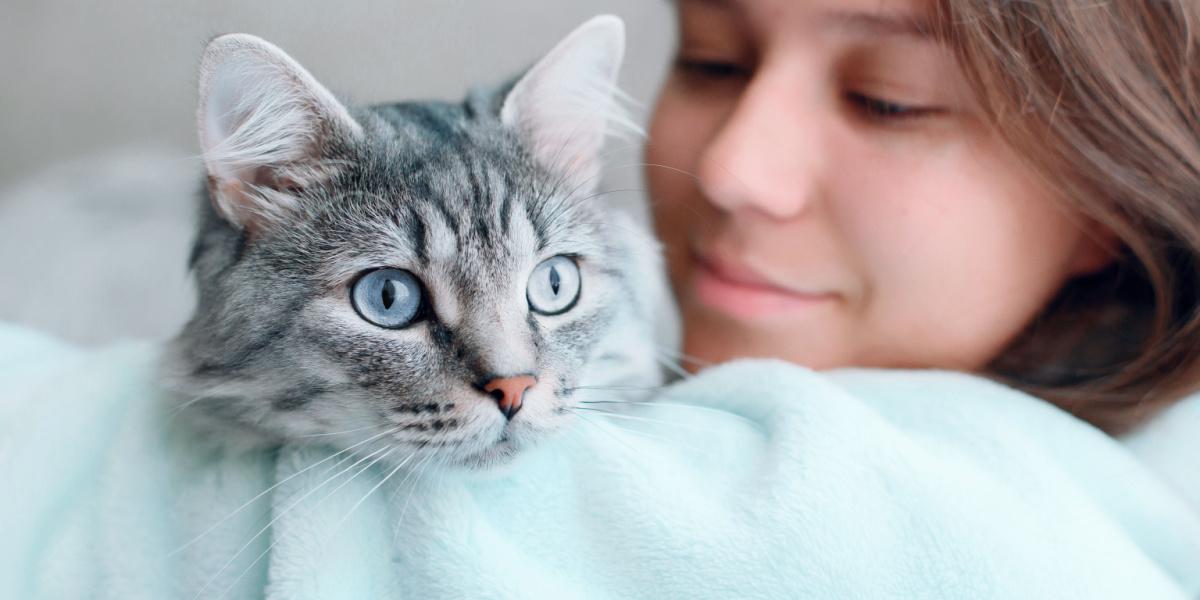 Gato y niña juntos.