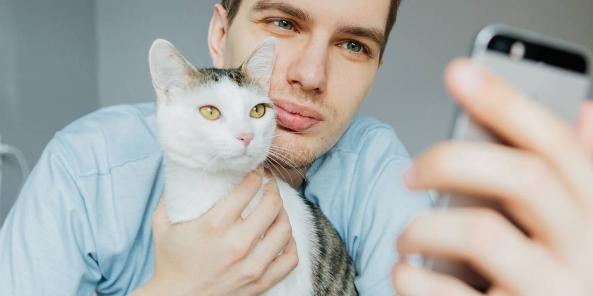 Gato y hombre juntos.