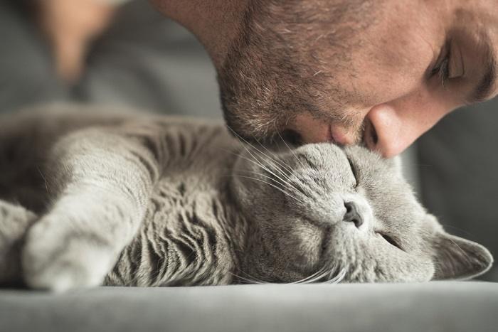 Una imagen entrañable que retrata a un gato realizando un gesto amoroso que se asemeja a un beso.