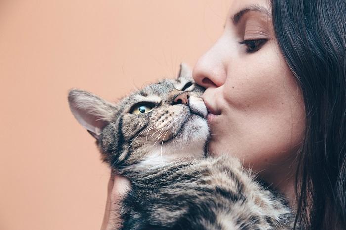 Una adorable imagen que captura un momento conmovedor de dos gatos participando en una interacción dulce y afectuosa.