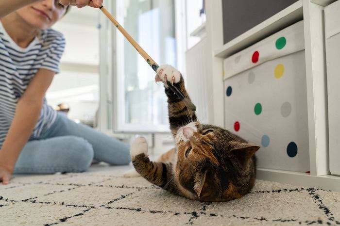 Un gato jugando con una mujer, ilustrando una interacción interactiva y lúdica entre un gato y su cuidador.