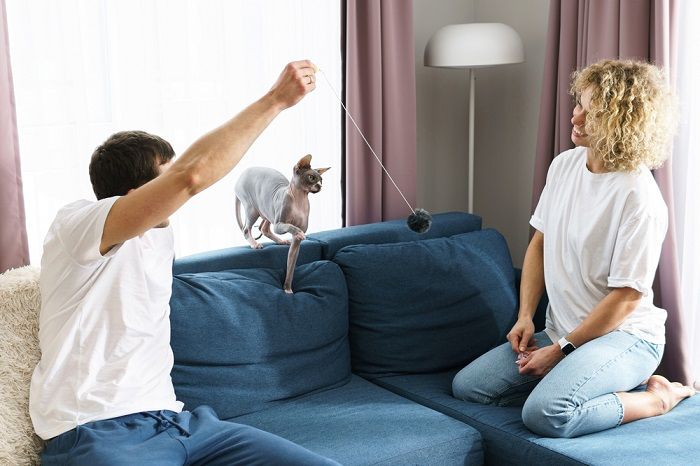 pareja jugando con su gato