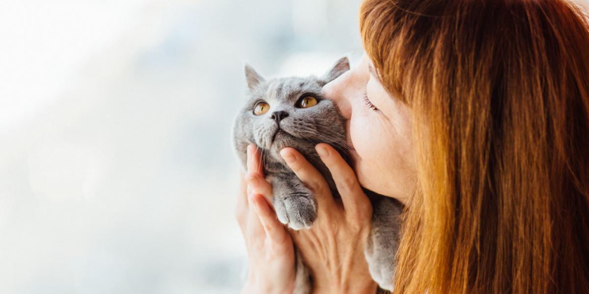 Una imagen que captura un momento conmovedor de una persona besando a su gato.