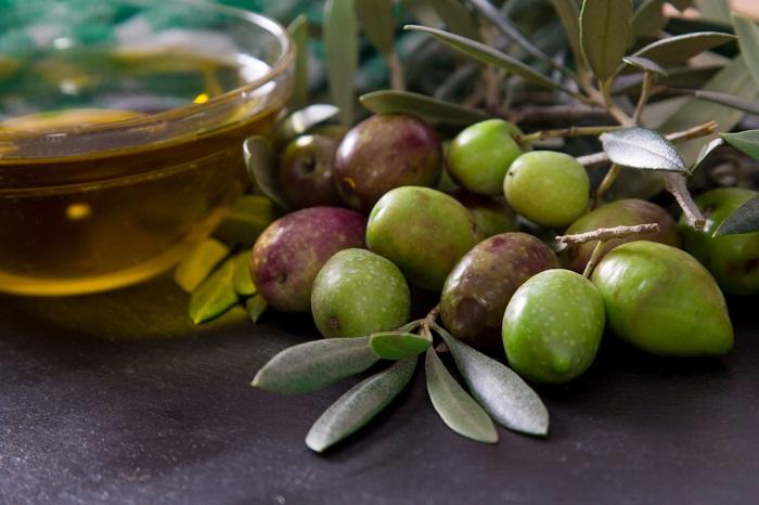 aceitunas fruta y aceite de oliva