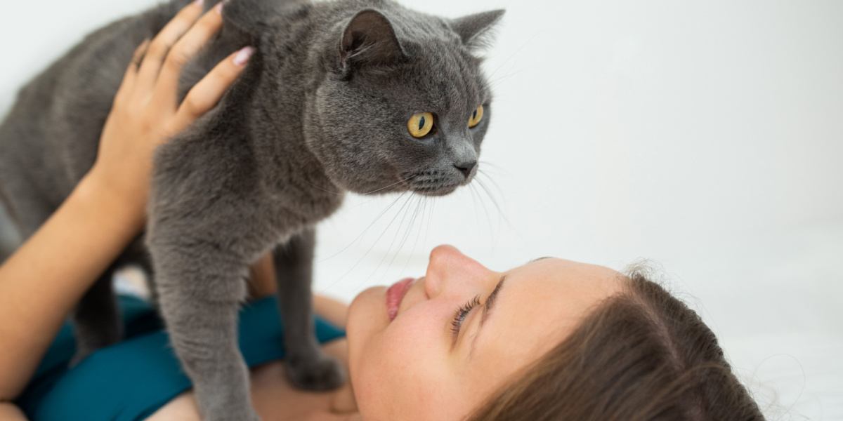 Mujer sosteniendo a su gato británico de pelo corto