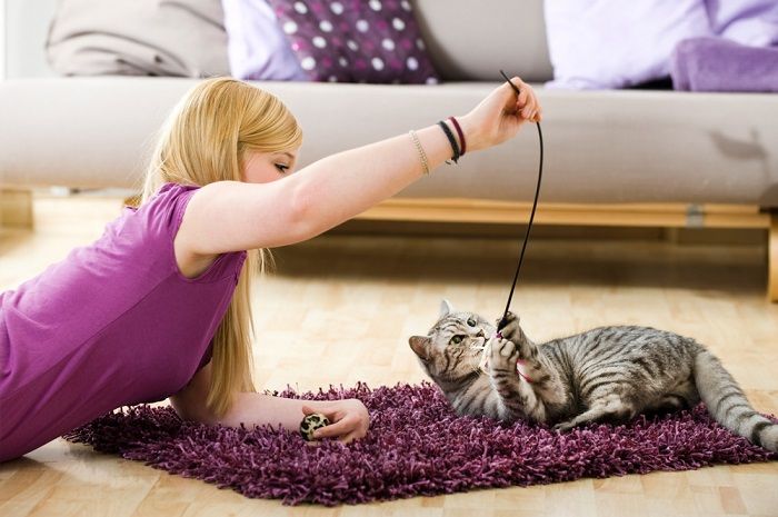 mujer jugando con gato