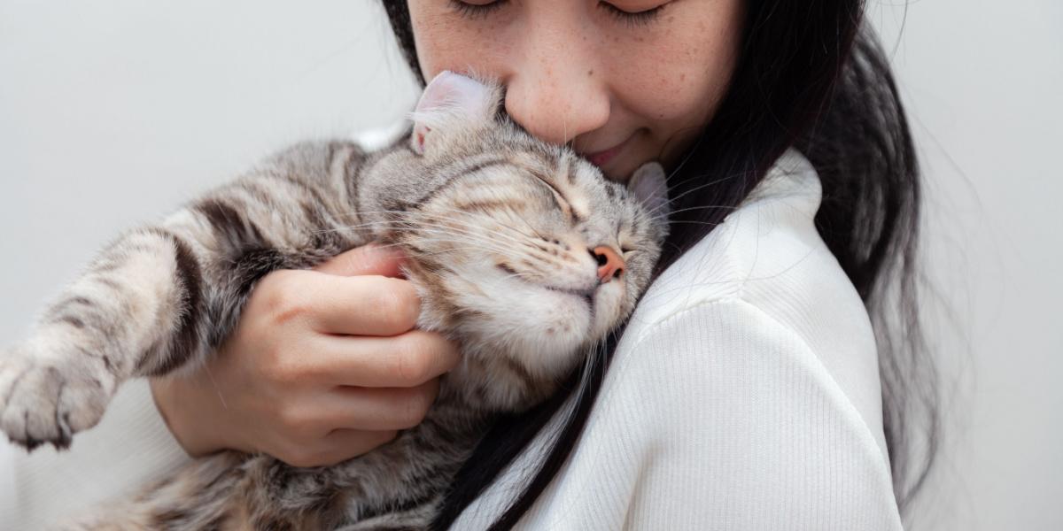 Gato frotando su cabeza contra una niña